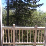 View from living room